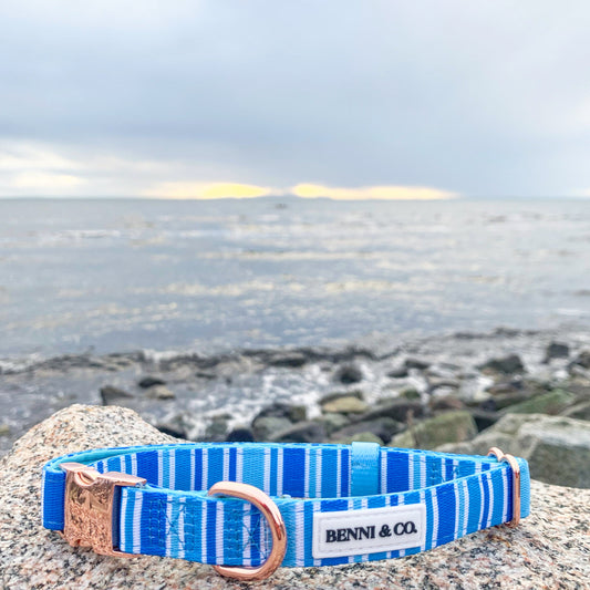 Ride the Waves Dog Collar