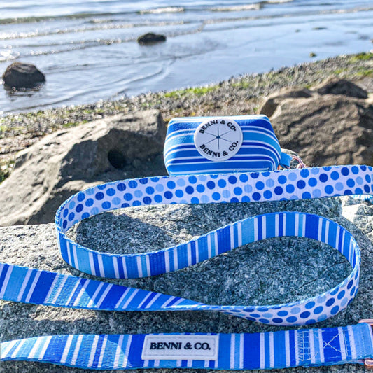 Ride the Waves Dog Leash